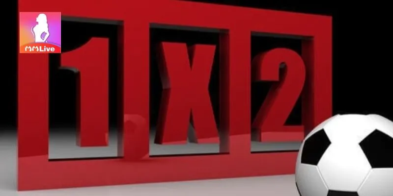 Kèo Châu Âu đang được nhiều người chơi lựa chọn hiện nay