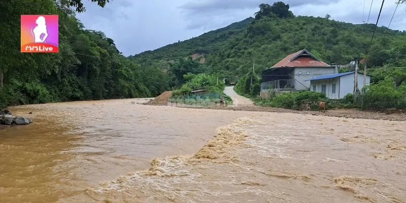 Nên đánh con gì khi nằm chiêm bao thấy nước